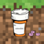 Server favicon
